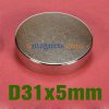 2st N35 31mmx5mm Neodym (NdFeB) Rare Earth Skiv Magneter