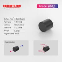 10mm x 10mm Neodymium Disc Magnets N42 Strong Rare Earth Cylinder Magnets 10×10mm Magnet Epoxy Coating